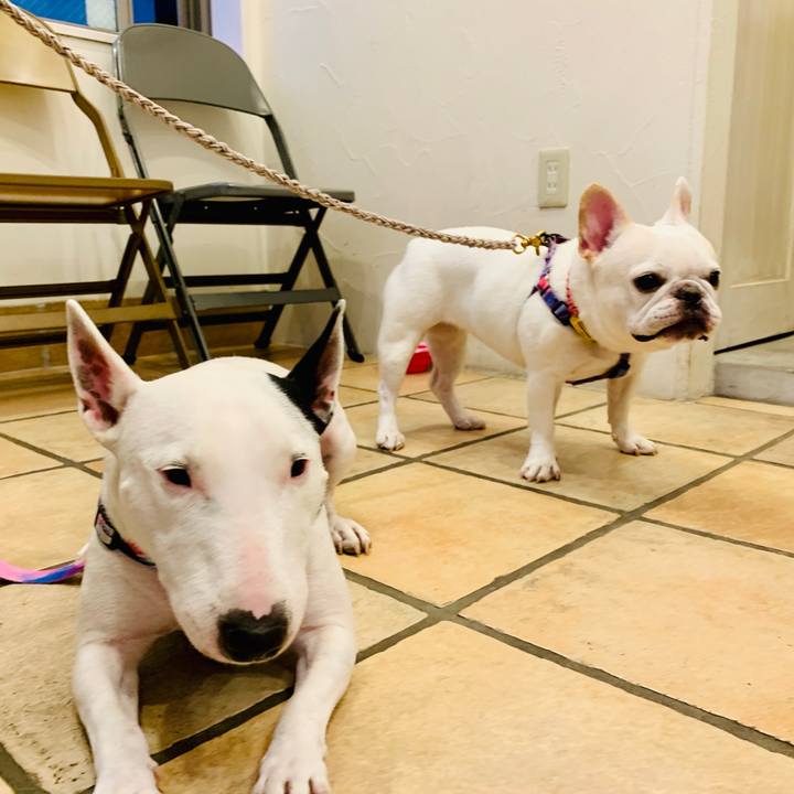 71a5f47c 26e9 47a6 99d1 4b796ff87394 1601787712153