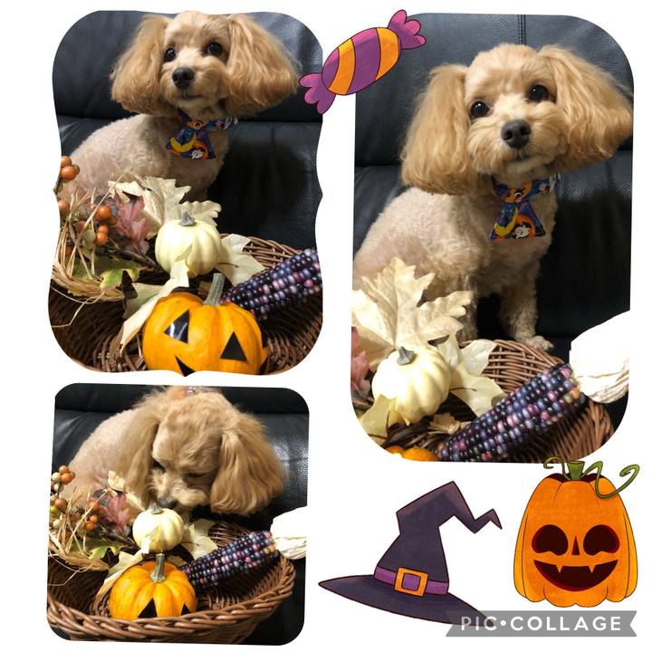 71a60840 7265 4314 b0e4 948cbd72487c 1666189996421