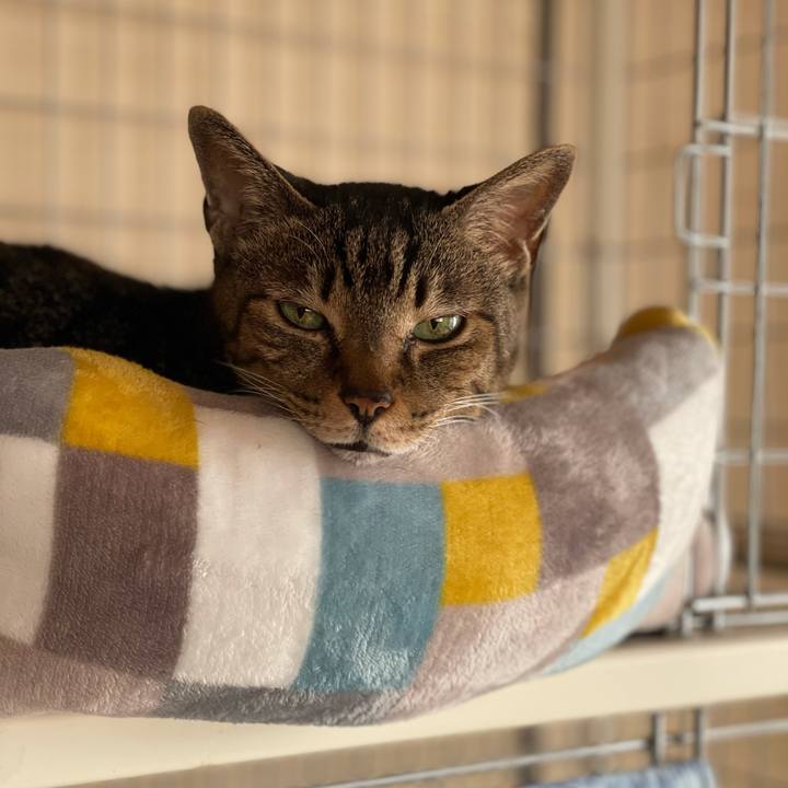 71a61a59 8989 42c8 91dc 3563868992aa 1619055103597