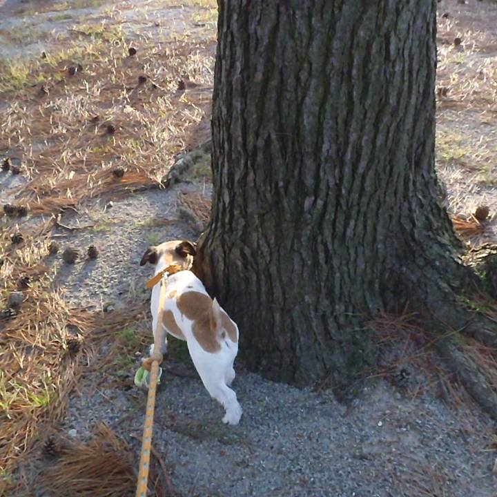 71a66053 8d40 4e4f 8e10 0a549425a2e9 1528711819563