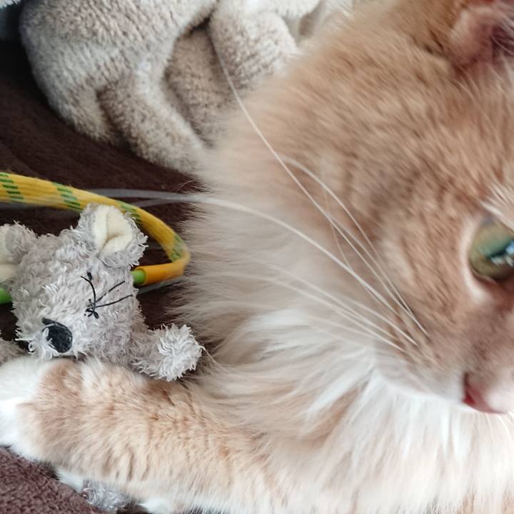 71a6aac5 b507 44d5 be7c 297965c60b16 1519011613024