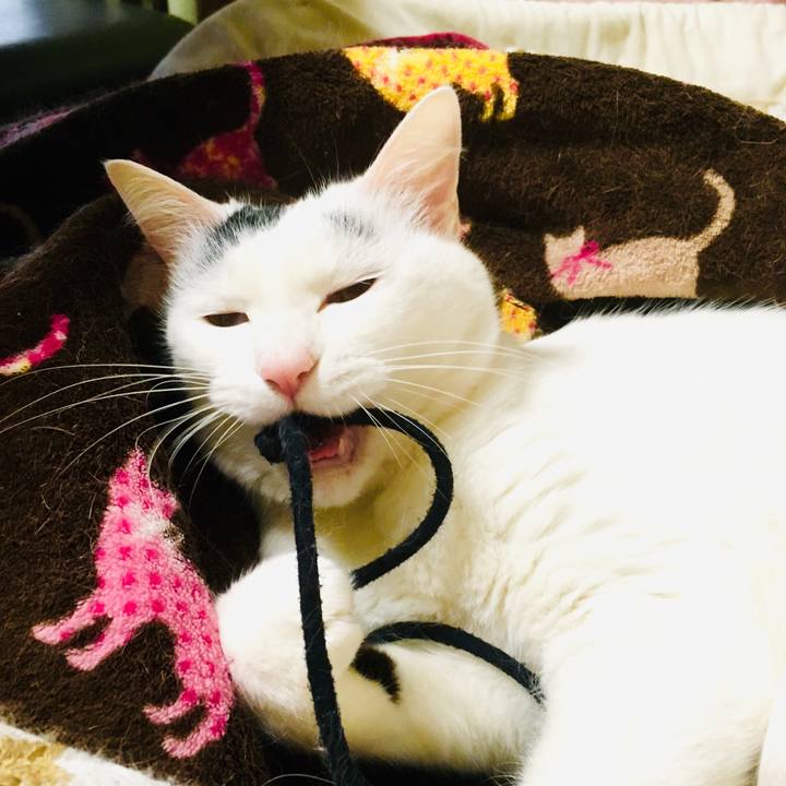 71a6cd83 8b22 42f8 b77a 39a15171b944 1556401937852