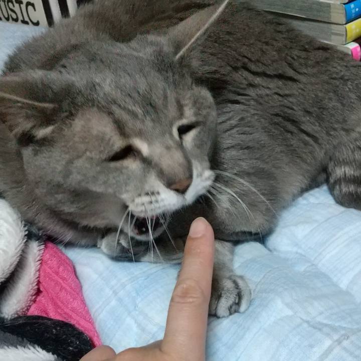 71a70f90 7226 4da6 a22c cf7ba58f9dd7 1620217331704