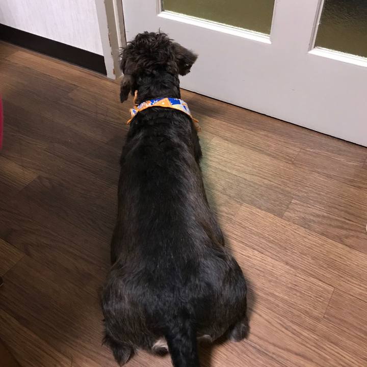 71a71da0 a1a7 4cf3 badc 65cb774b7d6d 1535960521778