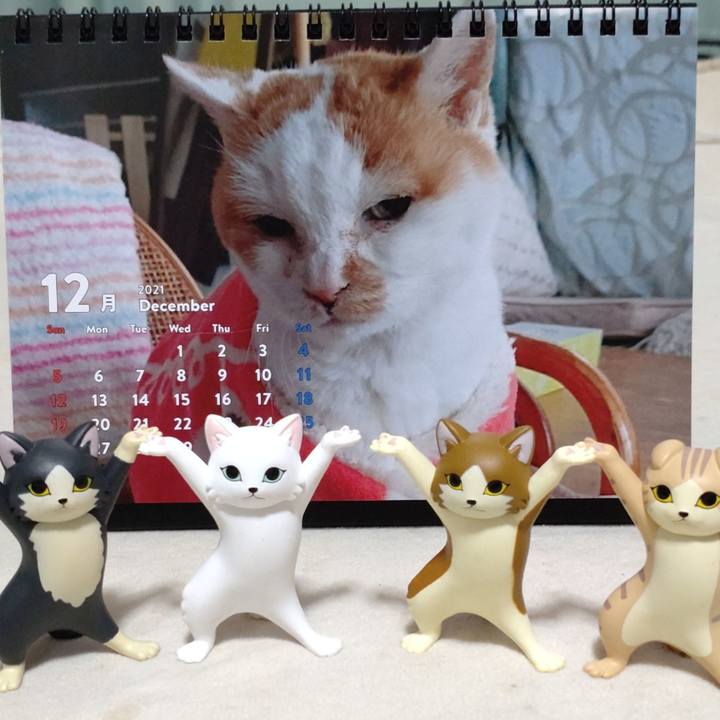 71a731c6 a064 4776 b936 62db45309533 1638537689334