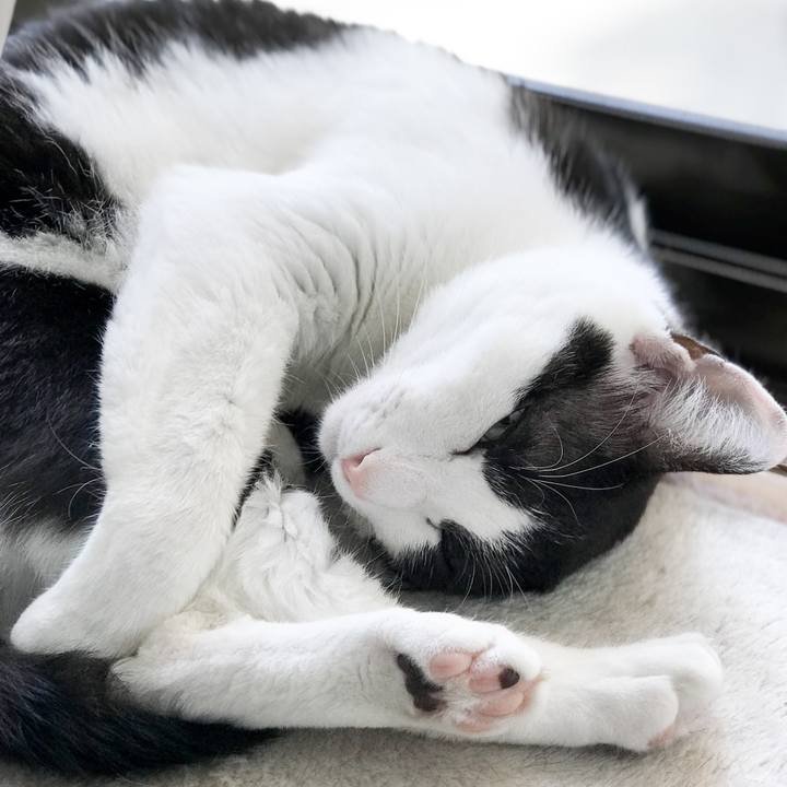 71a73bbe 6ae8 4be8 95d9 c128ea32f452 1527387313588