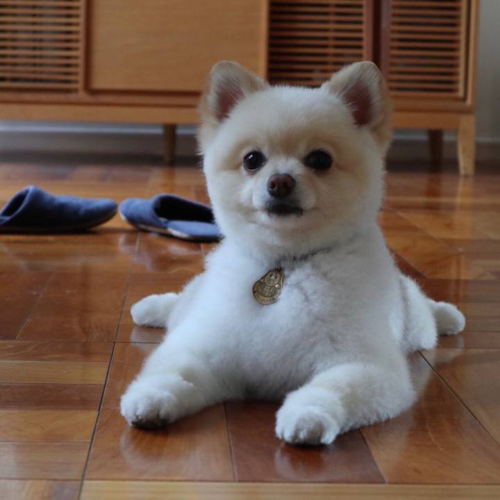 71a81ad3 6845 4fc5 9fd4 55031f57b203 1591517692091