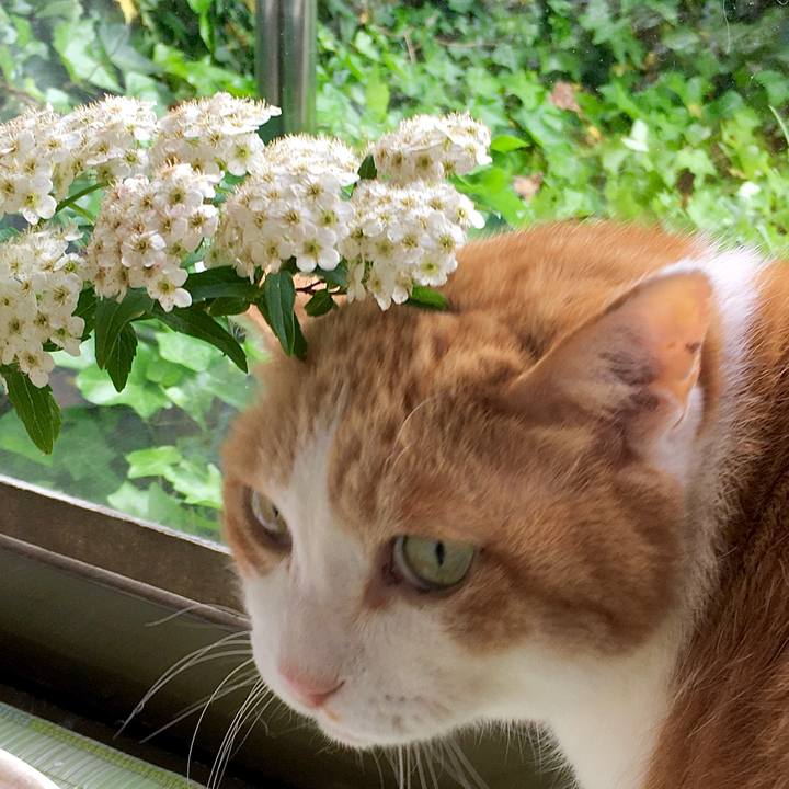 71a84a44 9164 453e b7f8 73d77303ff91 1590294541639