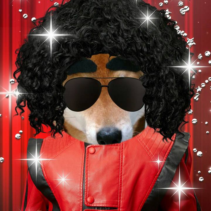 71a84cfe 8cd9 4f94 bde1 325f3a291ae8 1509247814289