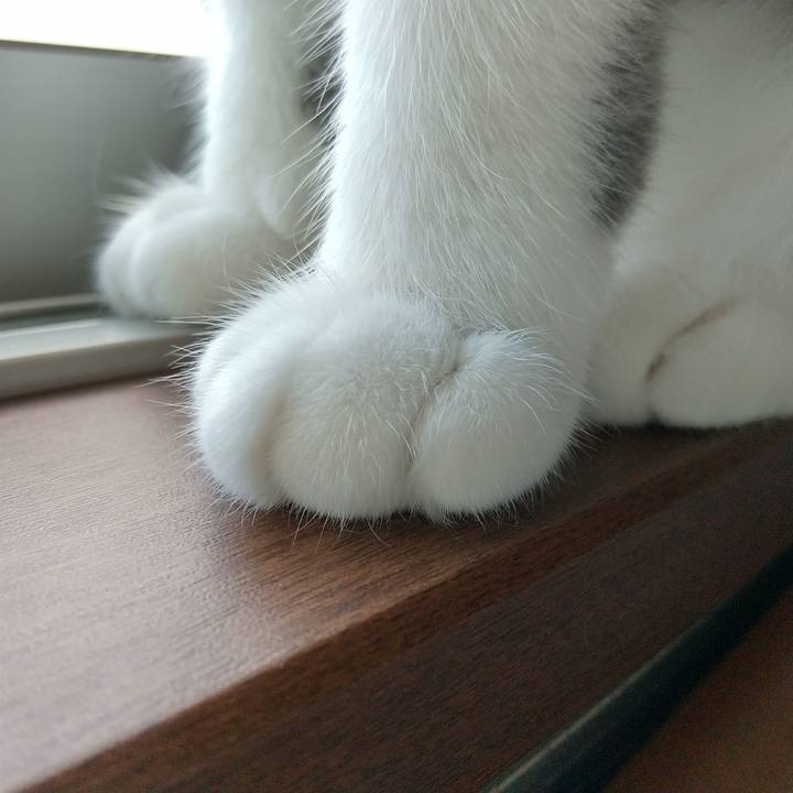 71a8615a fac3 4b7e bae8 f067ca32612a 1625866716854