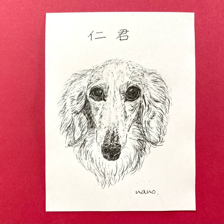 71a86f28 3c42 456a b33f 2a0a853d5498 1647758094358