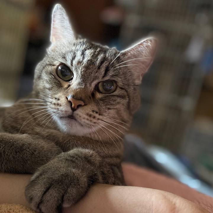 71a88fab b70c 4f8f 9f11 0feadf1cd060 1699683093006