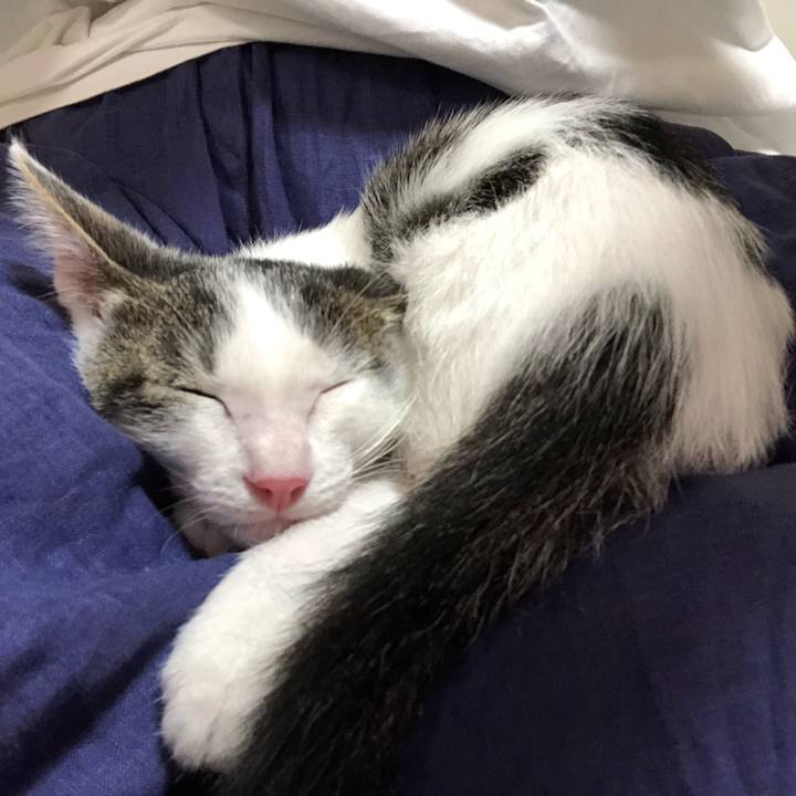 71a8955a 4fcb 4f8a aaa8 9c822012b2fe 1564392944586