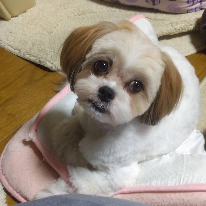 71a8ca1c 3549 4a6c 9f7b a0e32420cc2e 1596283152471