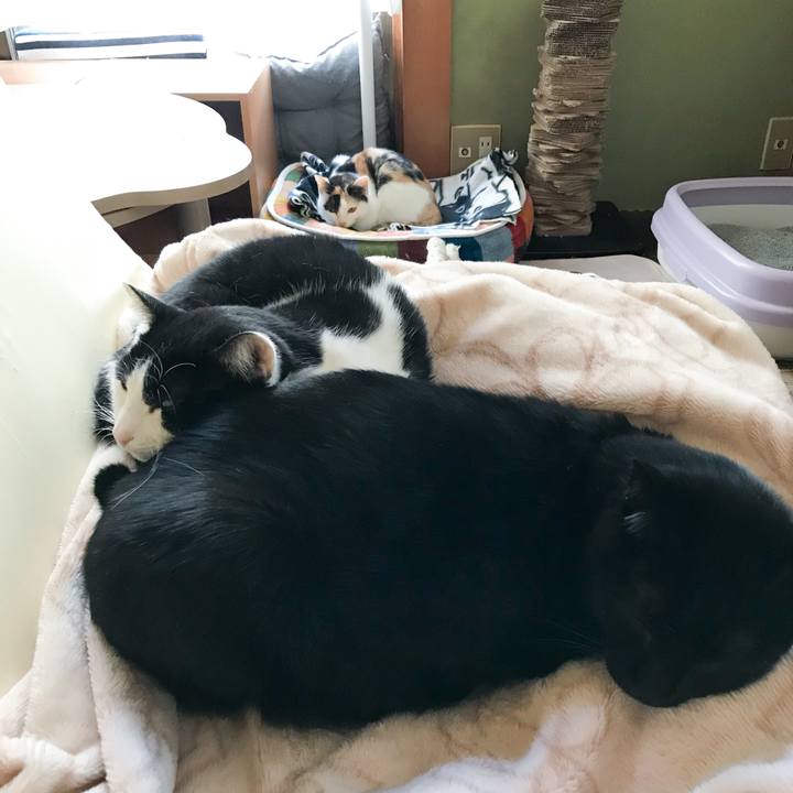 71a8d9e9 c80a 4037 894f 1969519f4610 1512217554869