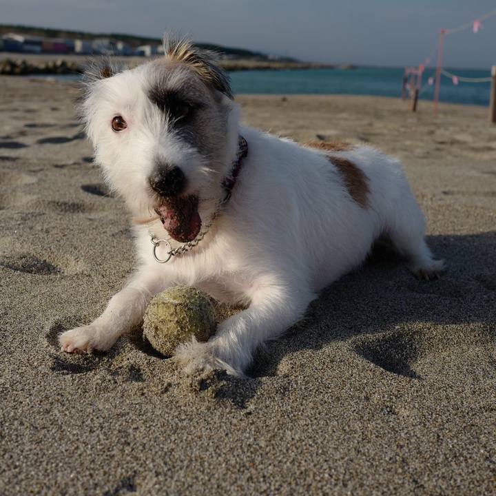 71a8e5c9 1a75 46eb 8f2c 7502cf3f345c 1539142509388