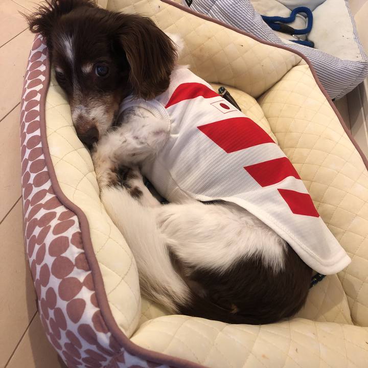 71a90166 ac3e 417a a816 c08fad20e8dc 1569729134232