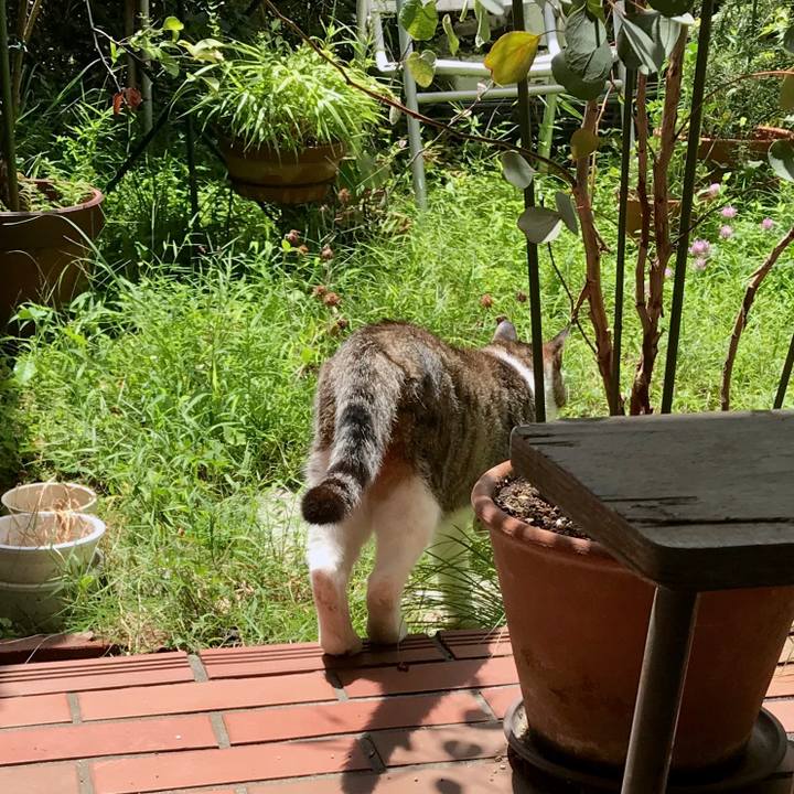 71a941ff d007 4230 883e ba9d8e1207c2 1533085674093