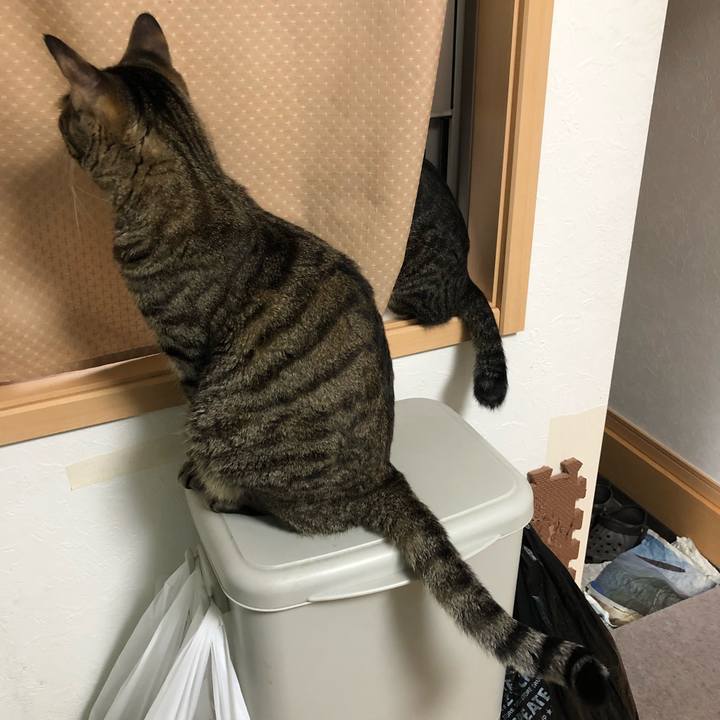 71a94914 79d0 4b65 b518 00d9f3fbefa0 1535983750047