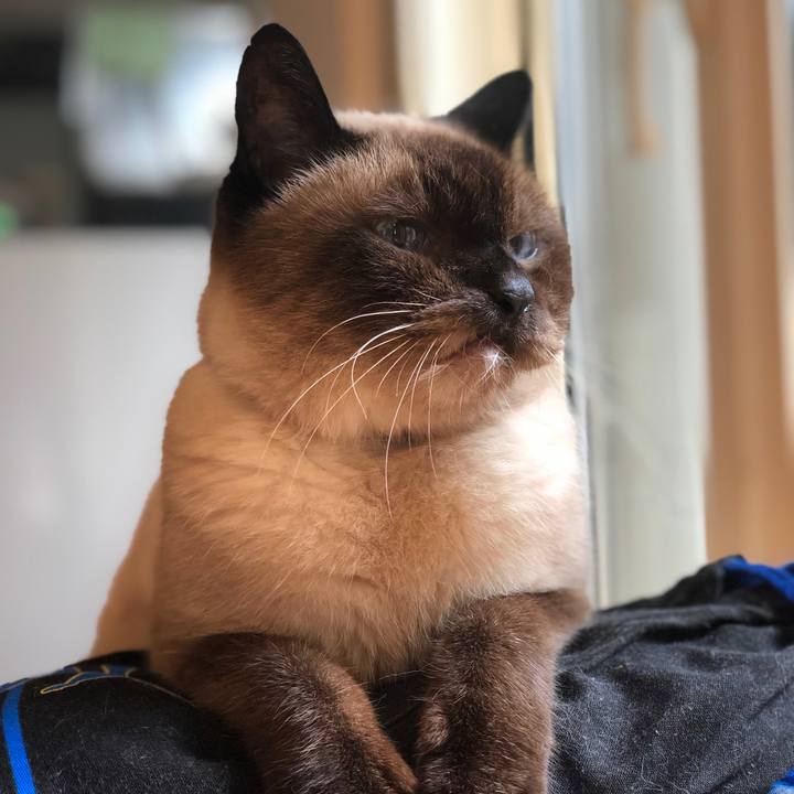 71a954a1 0a25 4c02 af59 65ef7b34f7e2 1567592664695