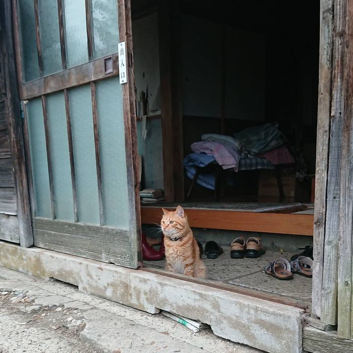 71a95930 50da 405b 988e b73a1c13e41e 1657850235249