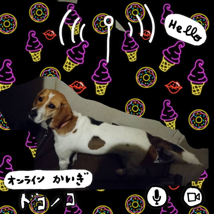 71a95df5 8cbb 4c79 b2df 11548a69626f 1592745882484