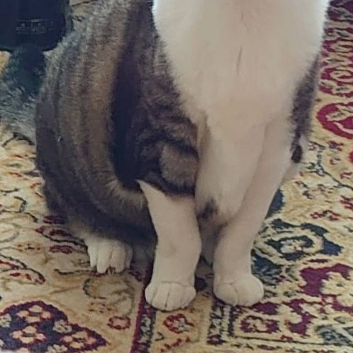 71a98659 e542 4ed7 b3ed df9c1ce25428 1718576384221