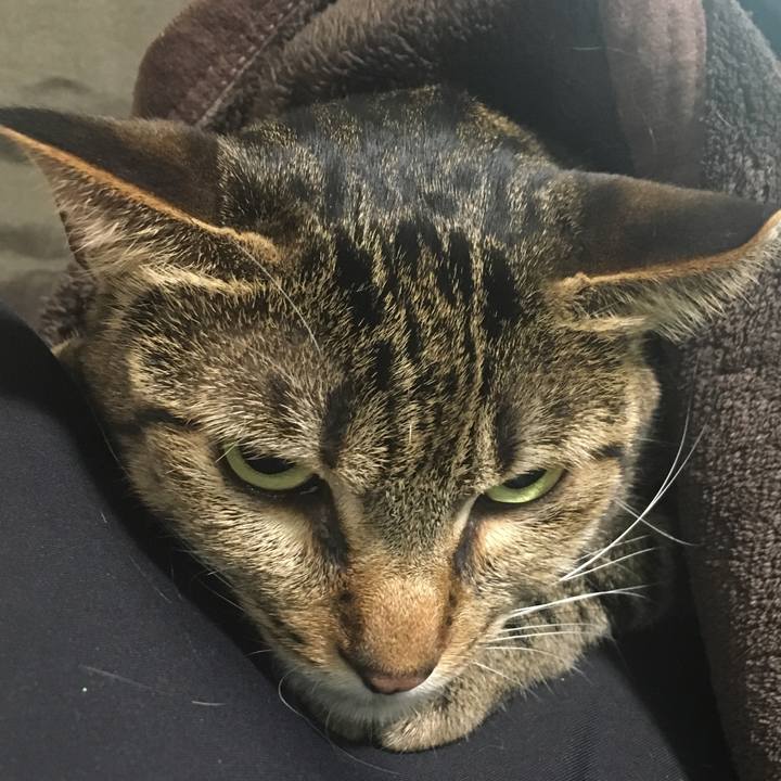 71a9a009 f4d0 4f12 8834 4bdd1ed0583b 1529721558183