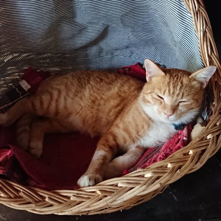 71a9aa98 707e 4167 b5f0 f8e9b1d3ad25 1568442126027