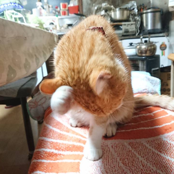 71a9d9d0 8ee2 4276 b04b 1f17485abecc 1605000376403