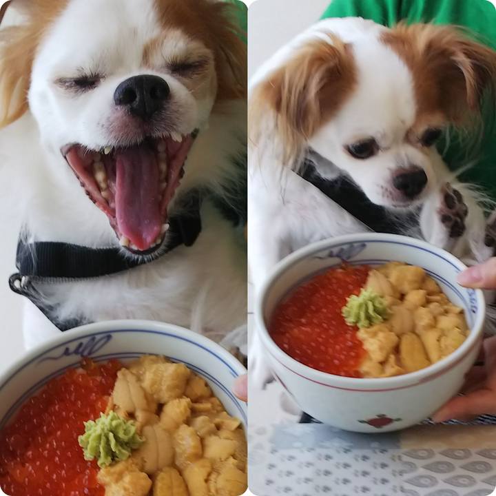 71a9ea56 7954 484d aed5 73d83e227665 1698721854410