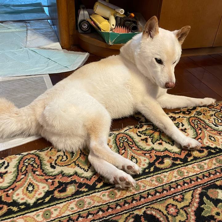 71a9fbff 76ce 4013 ad31 79109ba71436 1634262705947