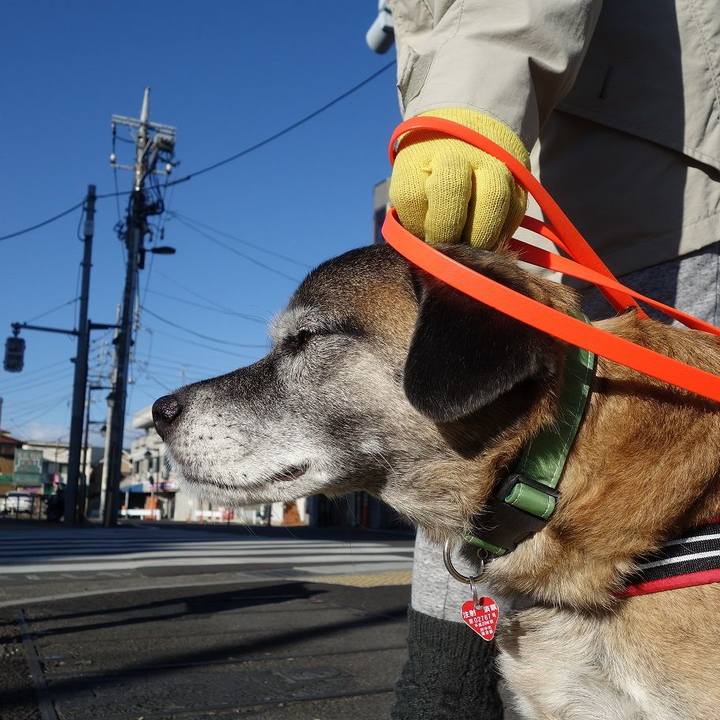 71aa1dd3 393a 4aea b48a 163e0a6fe1ac 1514947900794