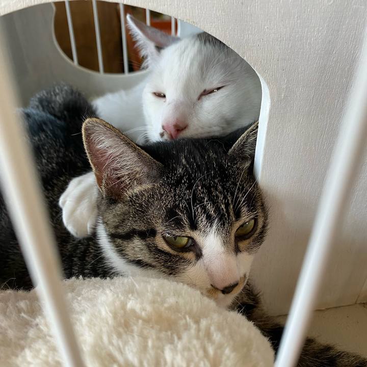 71aa354b 0fe9 4698 b163 69dd115b5906 1694244629085