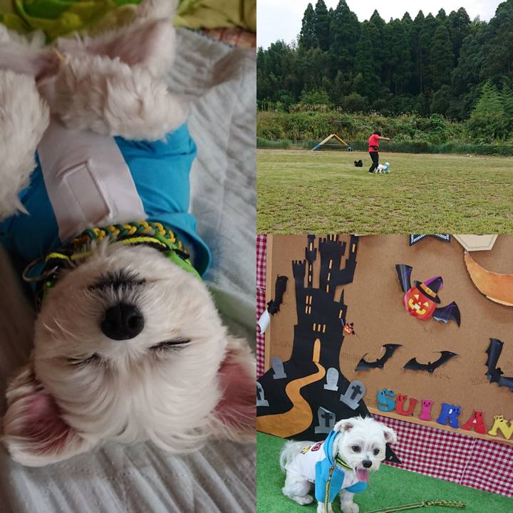 71aa8658 2c51 428c 9e67 56479c1e63d8 1601816022931