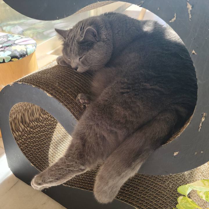 71aa9882 3924 452f 9e73 c79b564488bb 1613440132935