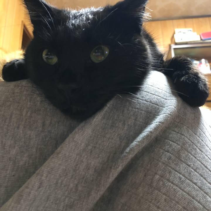 71aab14f 091d 4e84 99e1 35b8bdd03e94 1569499418901