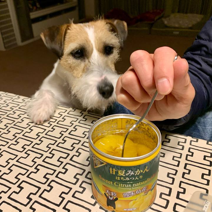 71aae606 5621 4982 83d2 4a2066e18bda 1619178348110