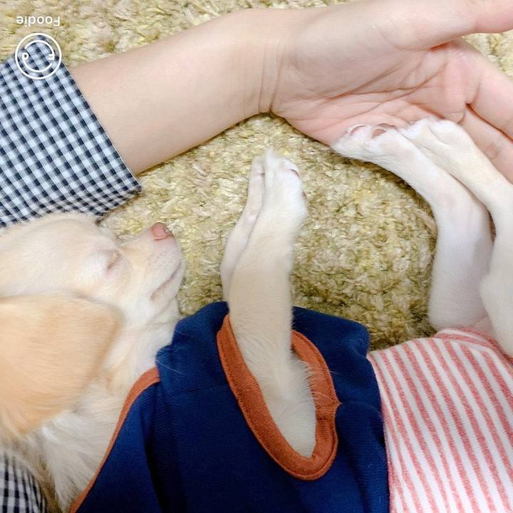 71aaf39d 0597 4adf adcd 622dc80cec17 1598522499128