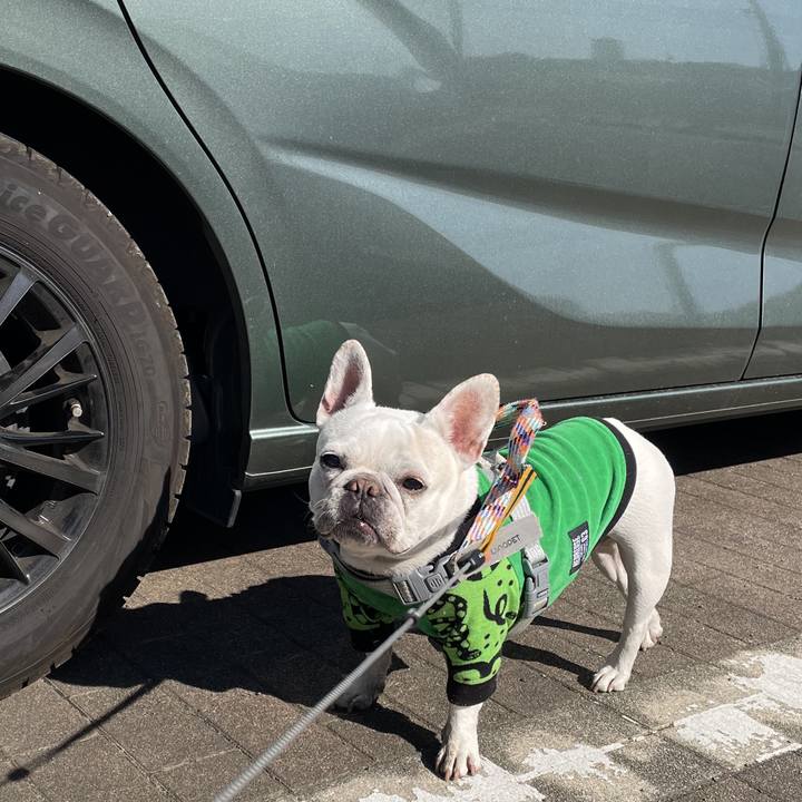 71ab73a8 b5cb 478b bad2 04073adb1a64 1769905539125