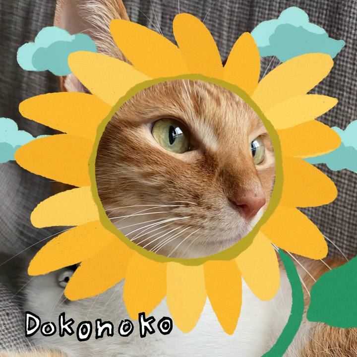 71ab9e2e afe6 40fc 8e79 378aad857865 1723170887668