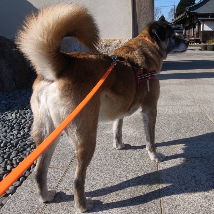 71aba0ad f82c 41e4 a032 ecea60360014 1598487659231