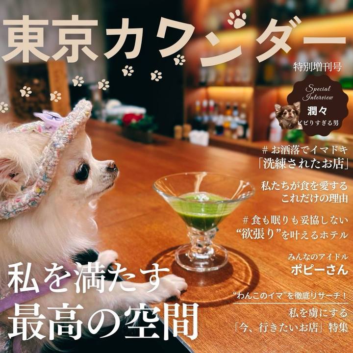 71abb6f5 e588 4fa2 b8c1 3bf590b25dc4 1702302550515