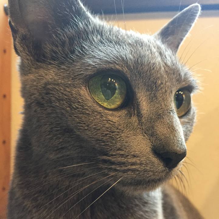 71abba2f 60f9 448b b8cf 46dbc0f0c495 1516354443260