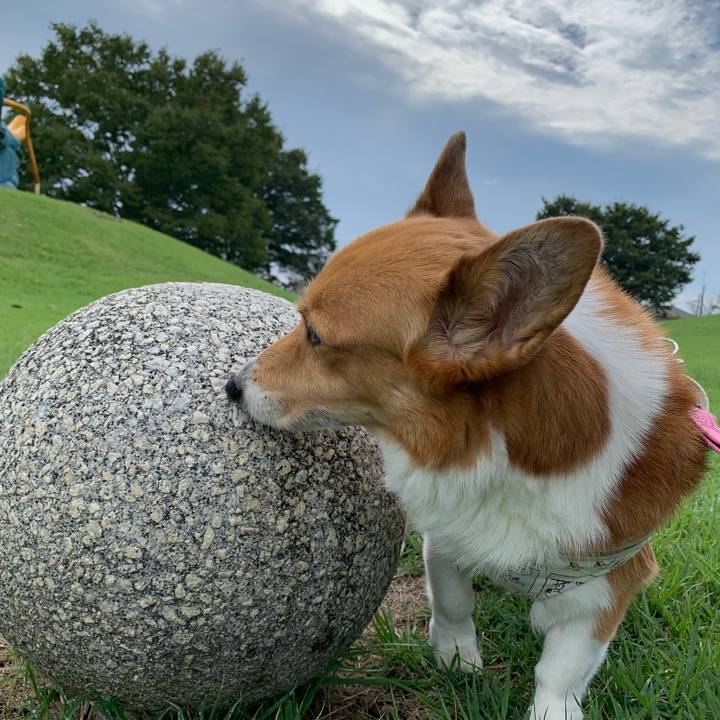 71abc167 71ad 4dab 83c8 ee1d7c8f453d 1696478973524