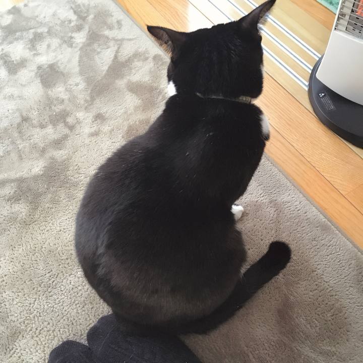 71abc18f 47bd 44fd 867d aec61e41629f 1770267519269