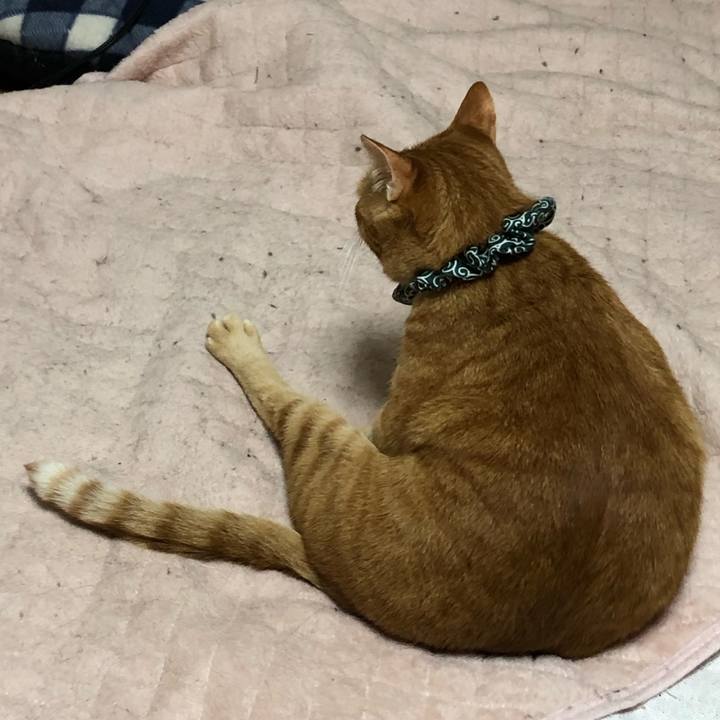 71abdf77 6796 400b bd9d 5508953e22ff 1560946333215