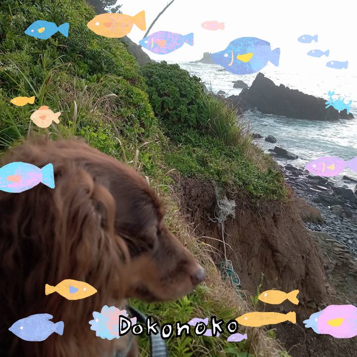 71abe28e cfff 4952 b830 24bcc7763db0 1755209715797