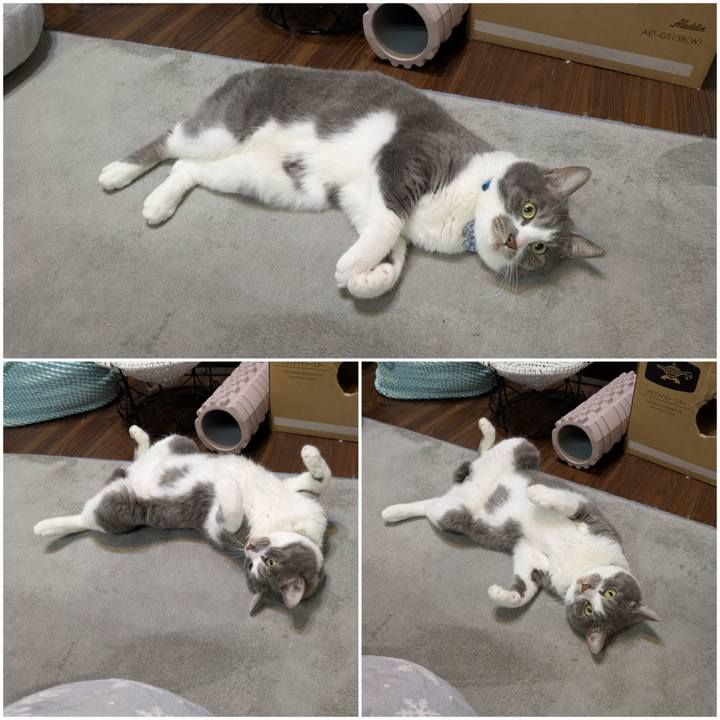 71abf19f cf59 4091 aa16 c0691a8b298e 1744378061931