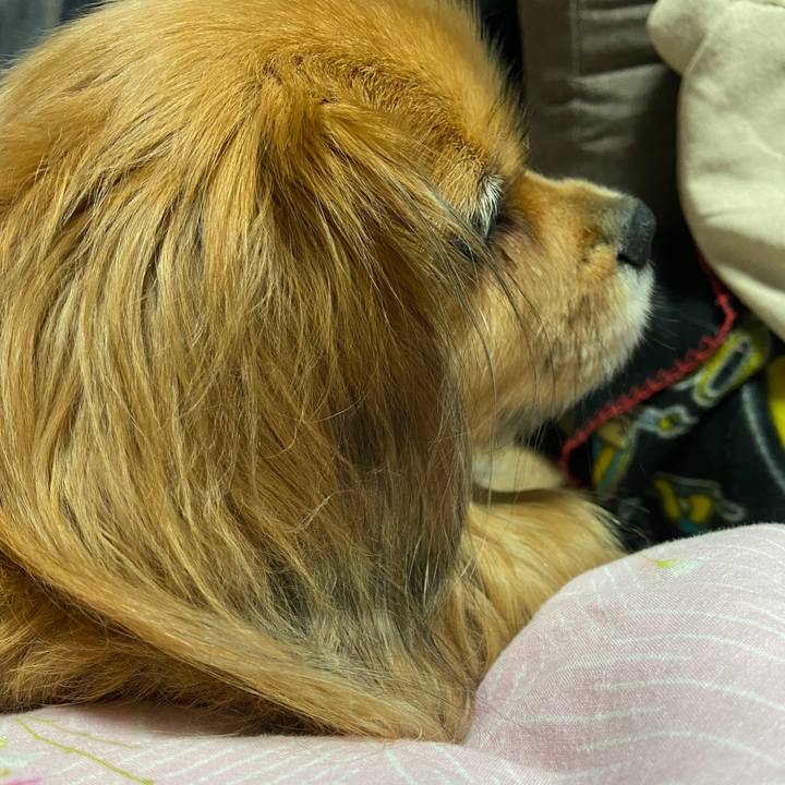 71ac03c6 ff7c 4be6 9de1 8fd371099de7 1674341526256